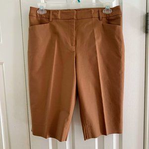 Ellen Tracy Flat Front Bermuda Shorts 10
